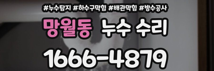 망월동 누수 수리
