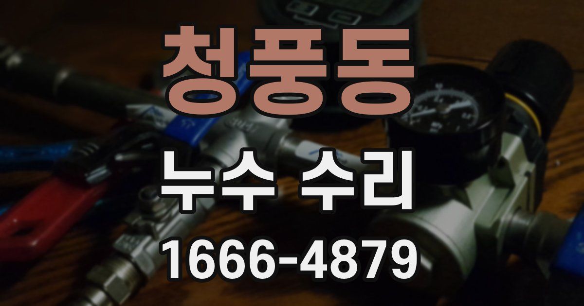 청풍동 누수 수리