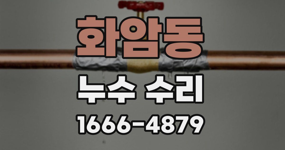 화암동 누수 수리