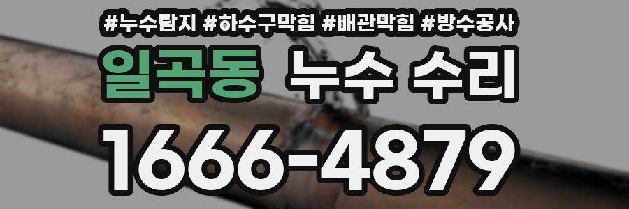 일곡동 누수 수리