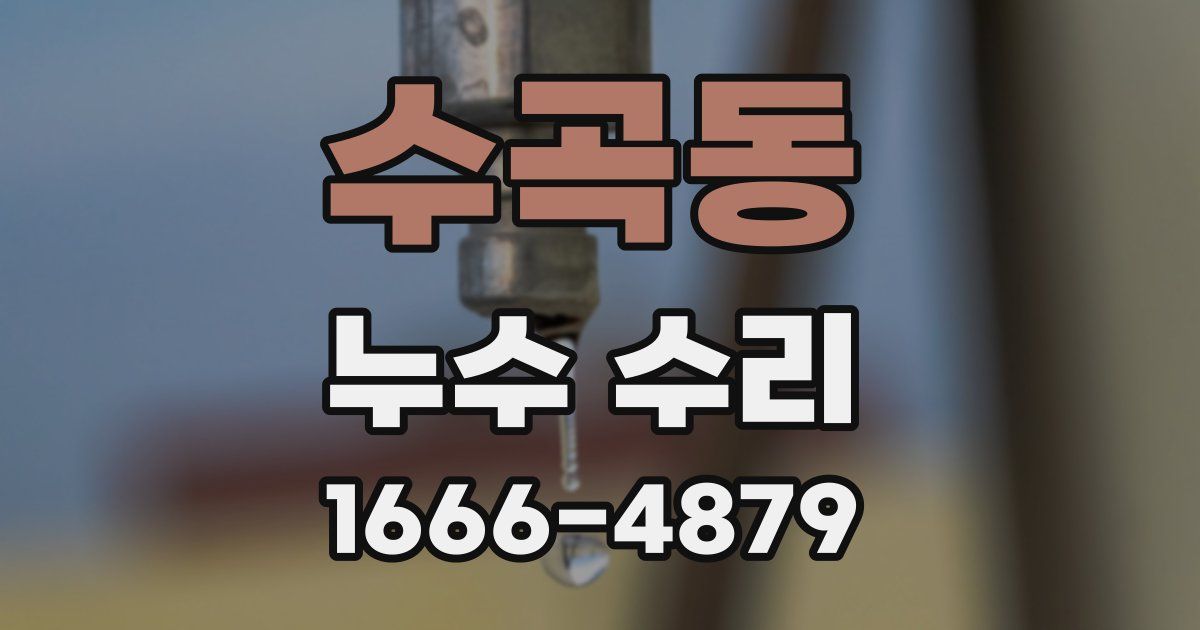 수곡동 누수 수리