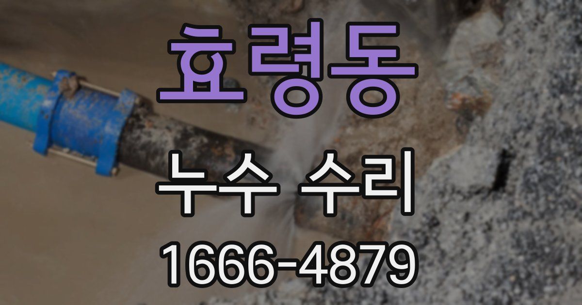 효령동 누수 수리