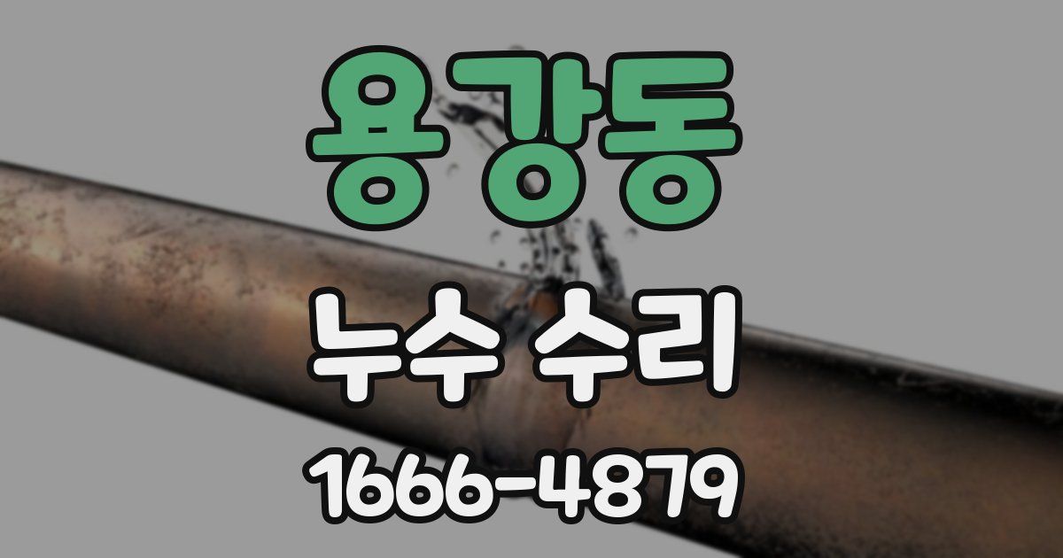 용강동 누수 수리
