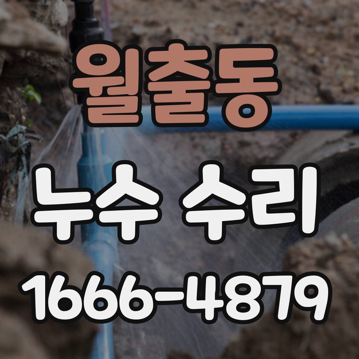 월출동 누수 수리