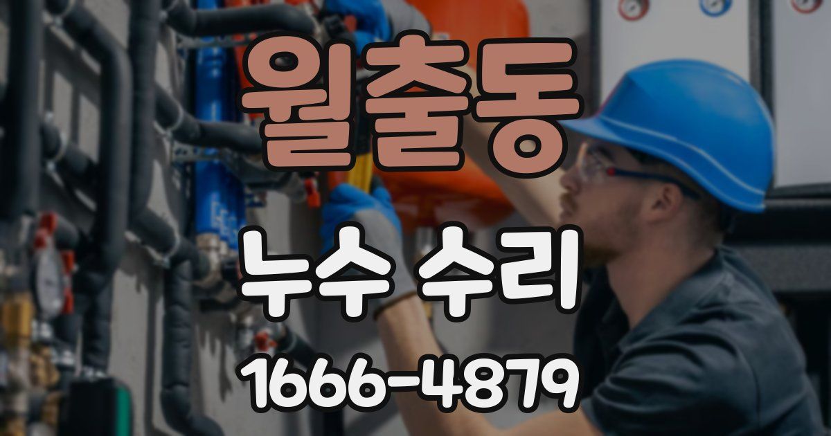 월출동 누수 수리