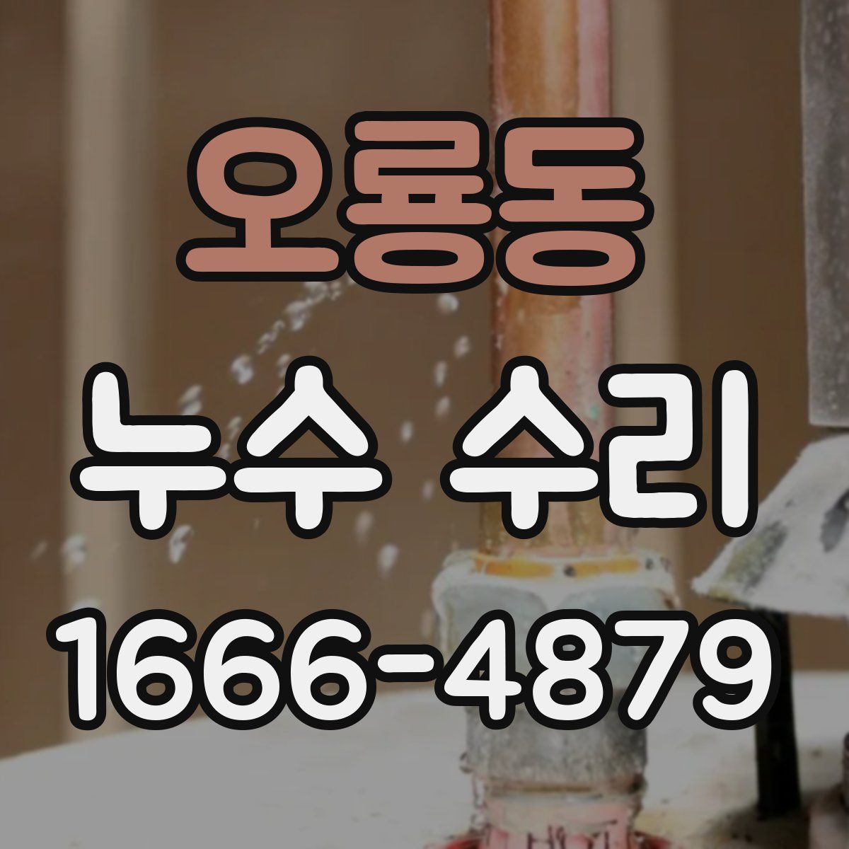 오룡동 누수 수리