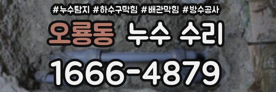 오룡동 누수 수리
