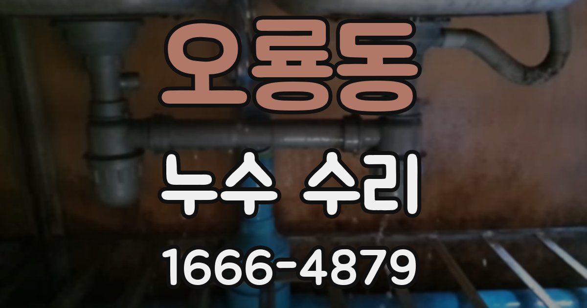 오룡동 누수 수리