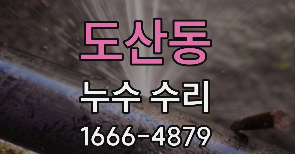 도산동 누수 수리