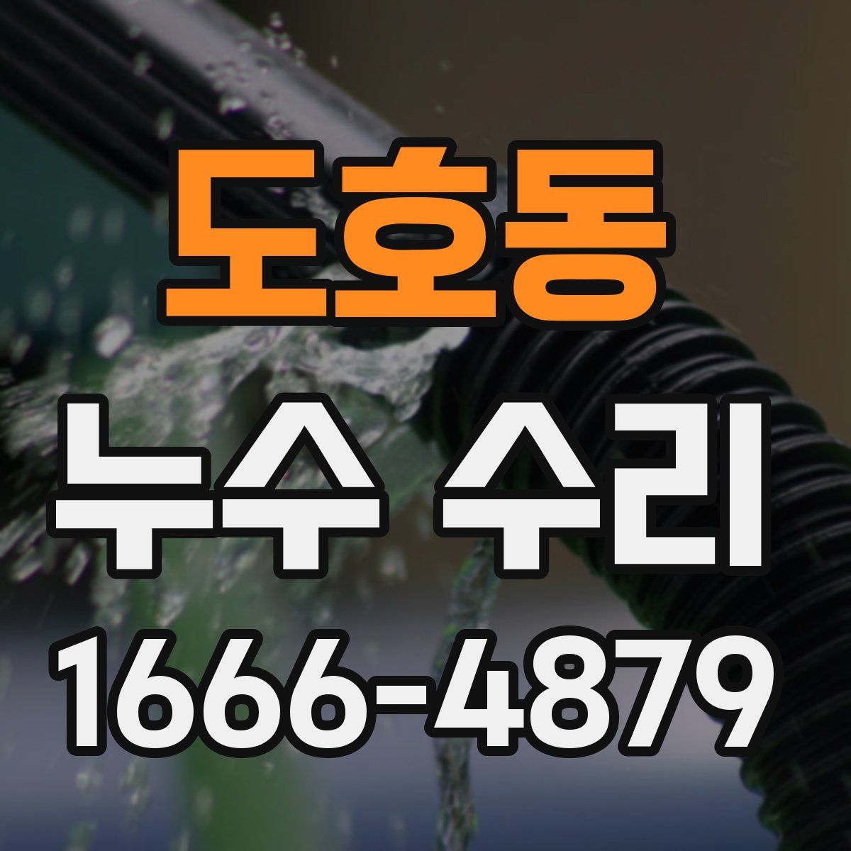 도호동 누수 수리