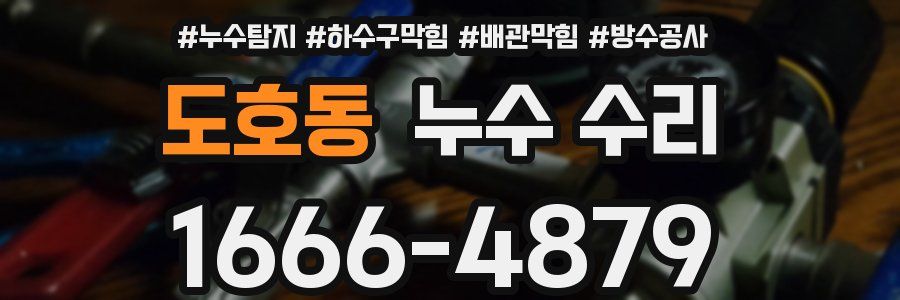 도호동 누수 수리