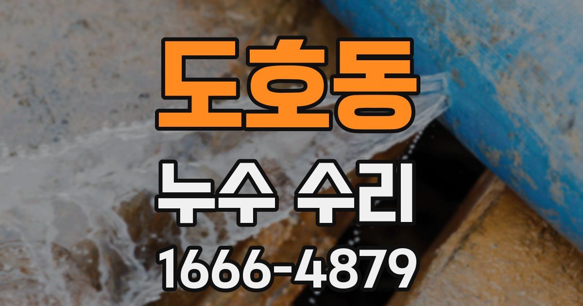 도호동 누수 수리