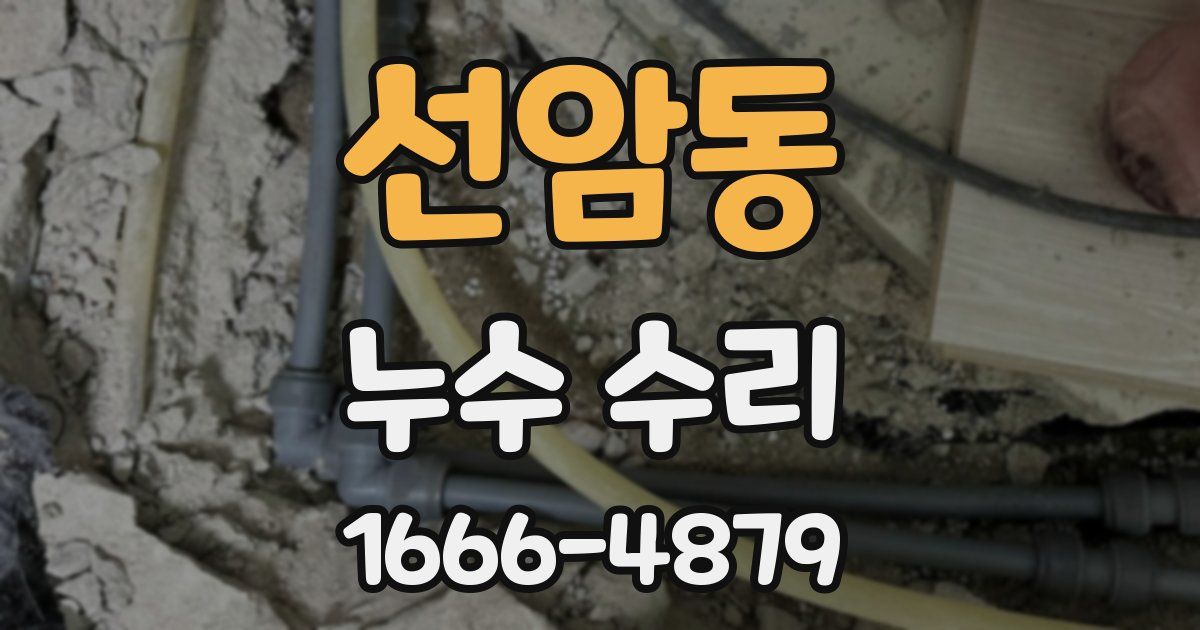 선암동 누수 수리