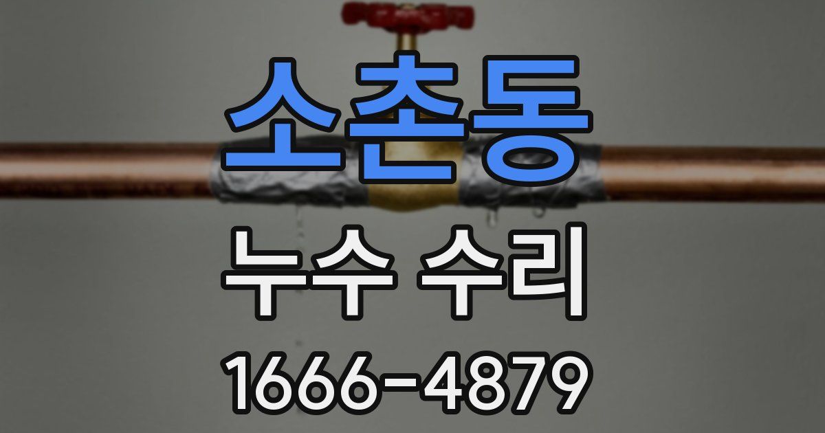 소촌동 누수 수리