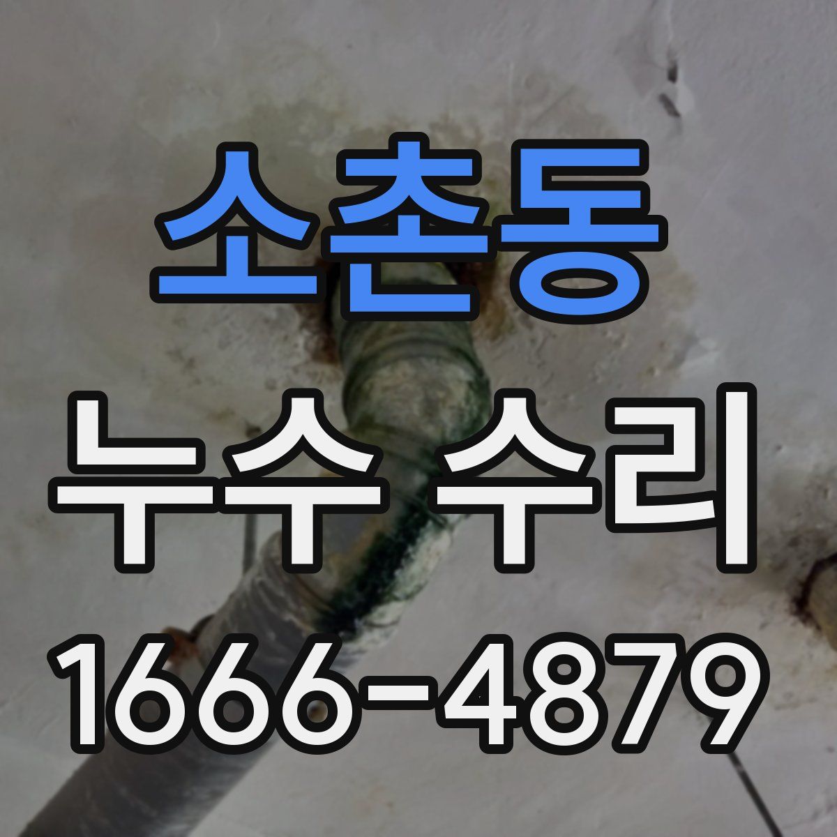 소촌동 누수 수리