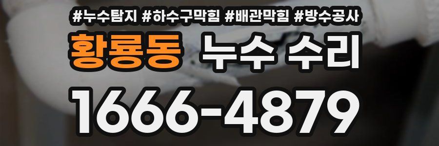 황룡동 누수 수리