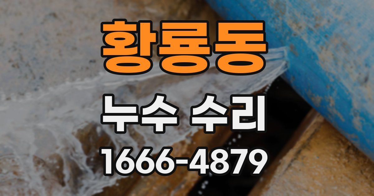 황룡동 누수 수리