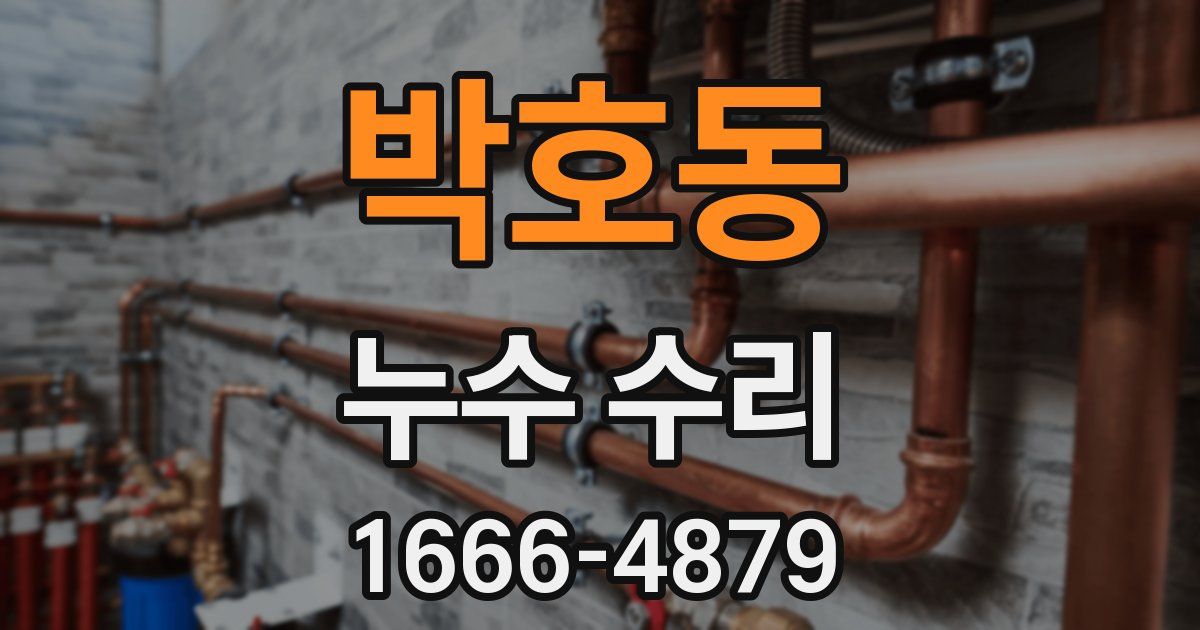 박호동 누수 수리