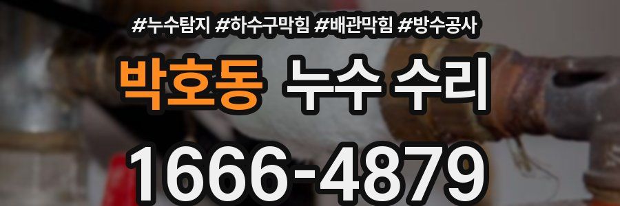 박호동 누수 수리