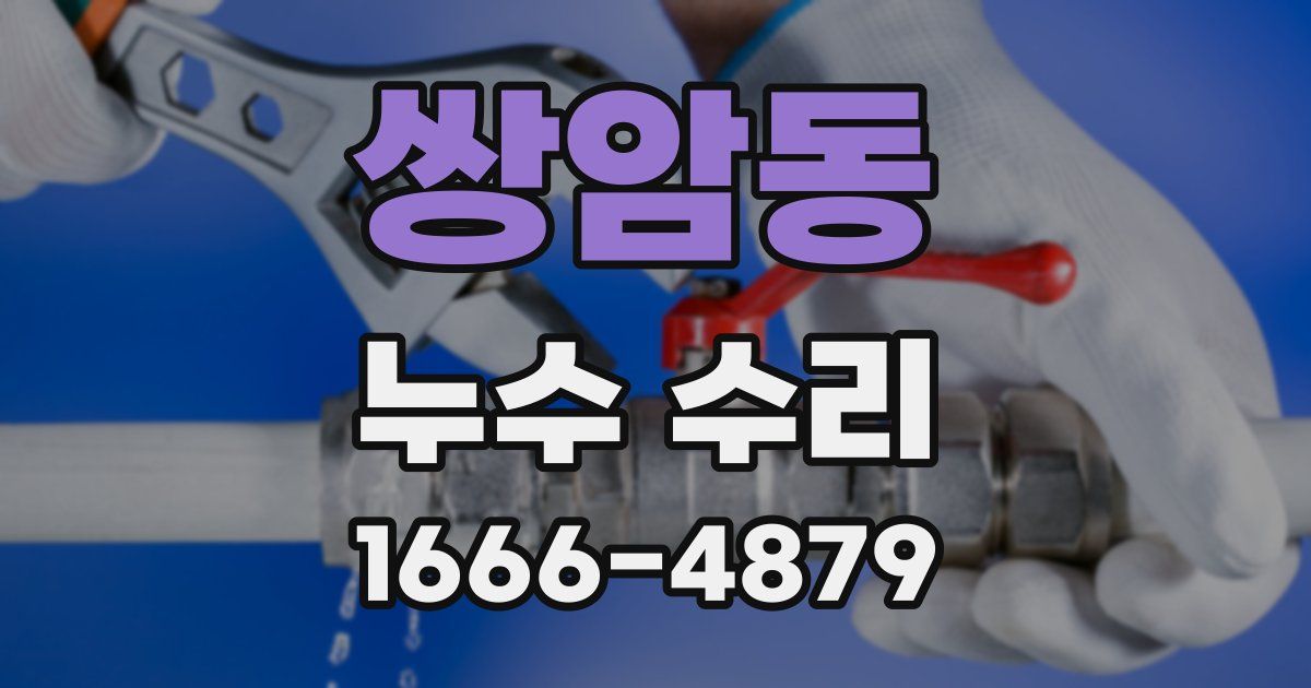 쌍암동 누수 수리