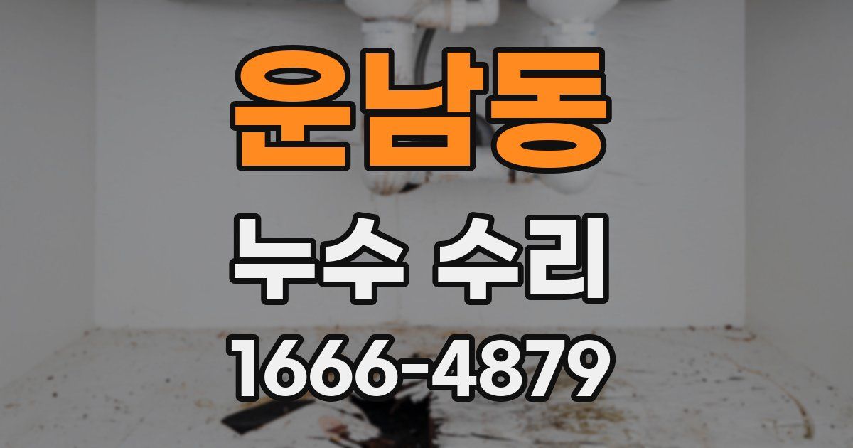 운남동 누수 수리