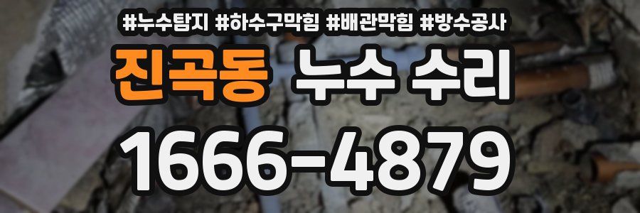 진곡동 누수 수리
