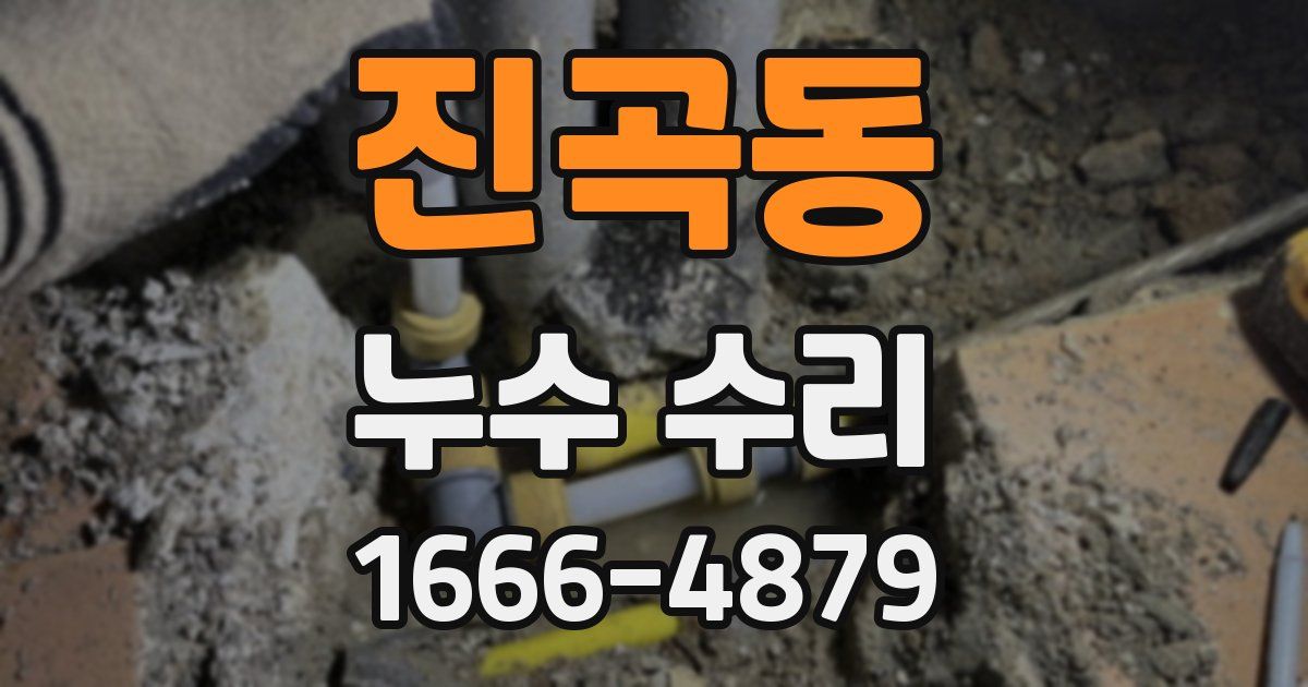 진곡동 누수 수리