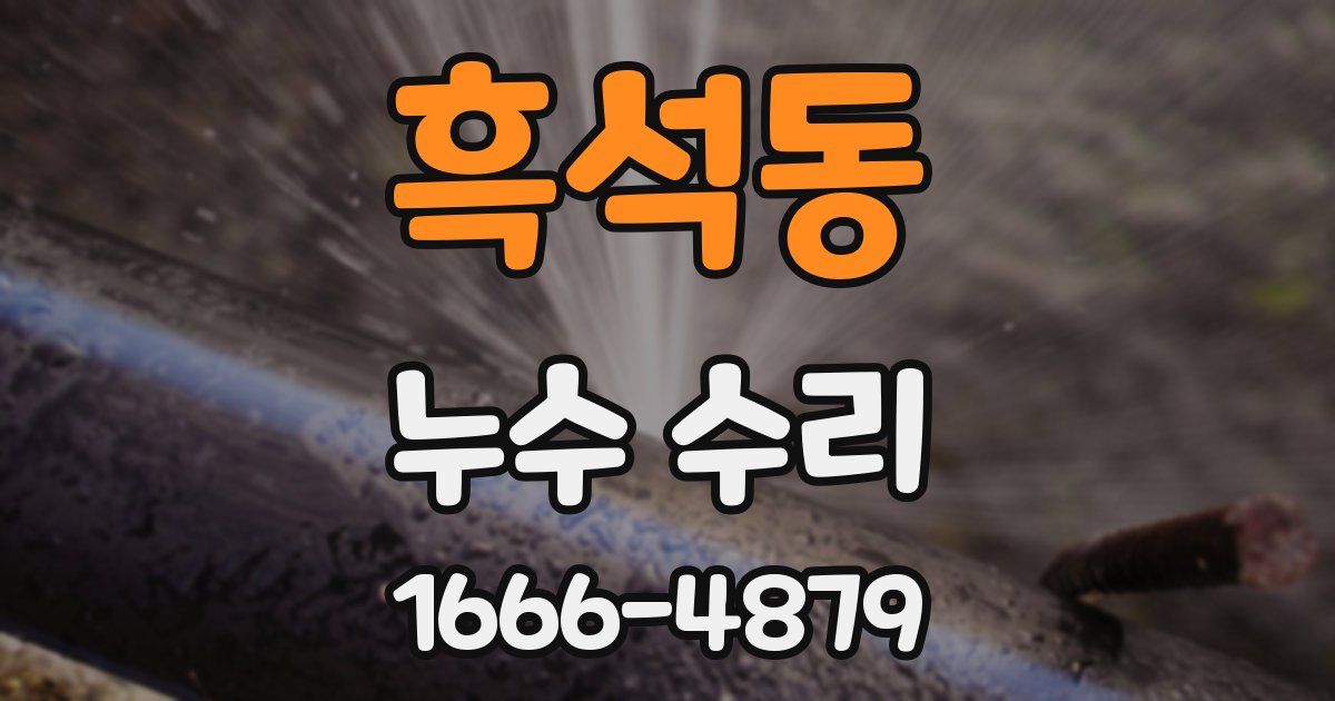 흑석동 누수 수리