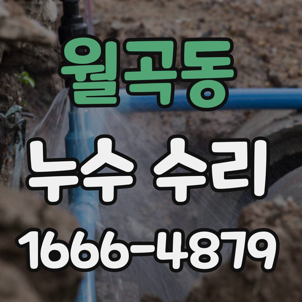월곡동 누수 수리