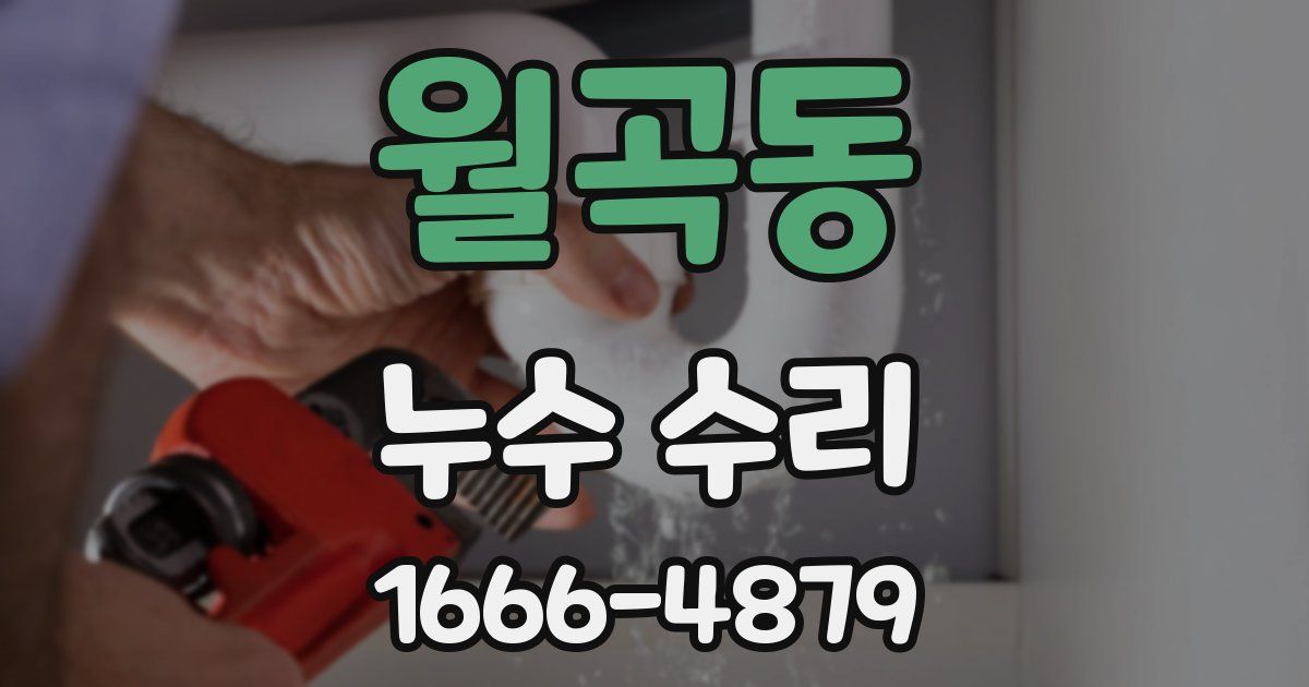 월곡동 누수 수리
