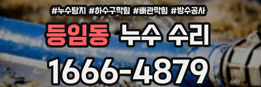 등임동 누수 수리