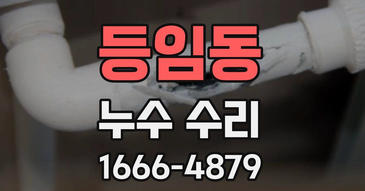 등임동 누수 수리
