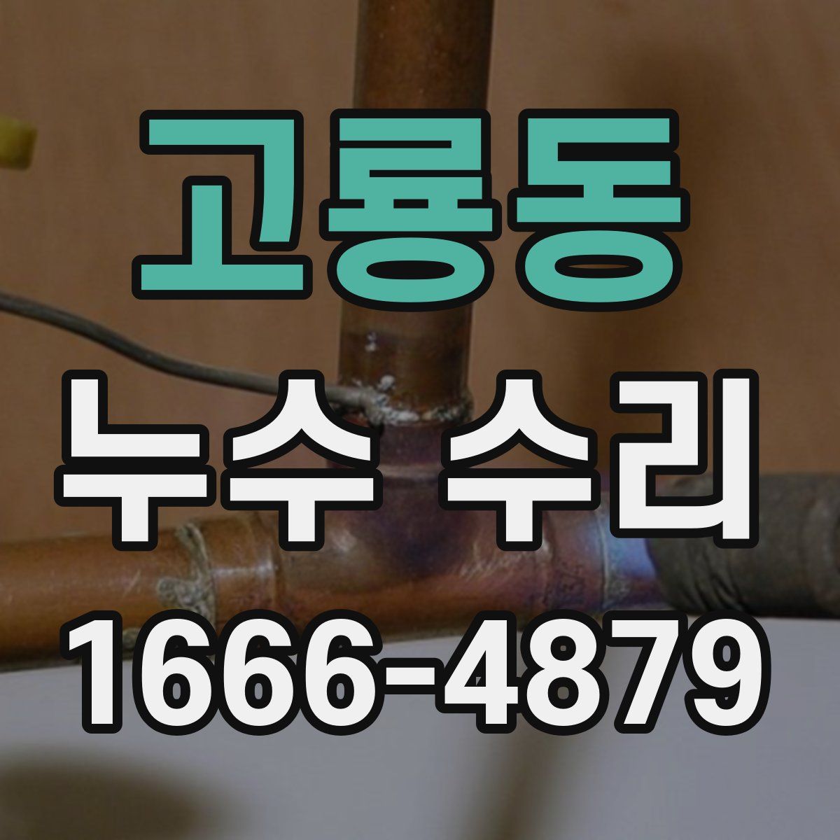 고룡동 누수 수리