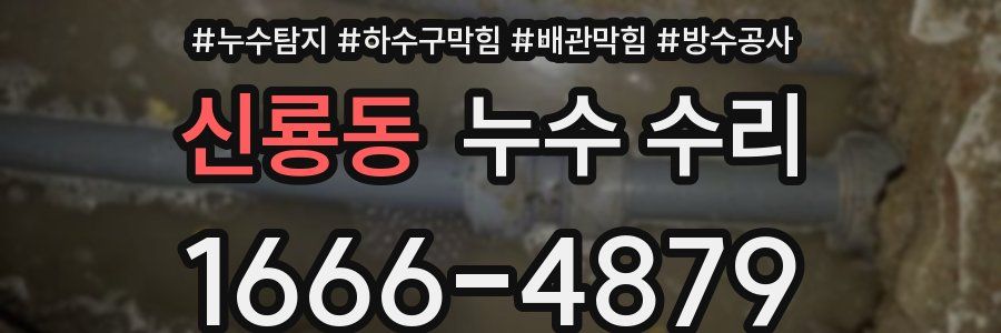 신룡동 누수 수리