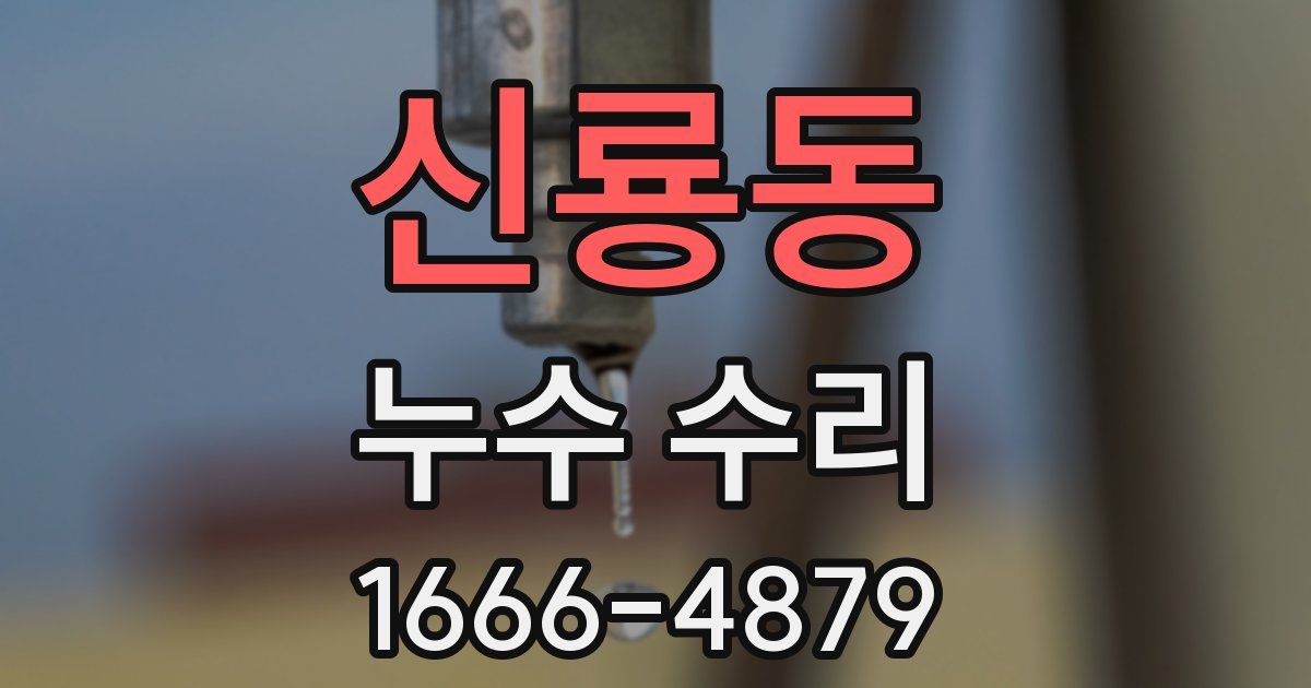 신룡동 누수 수리