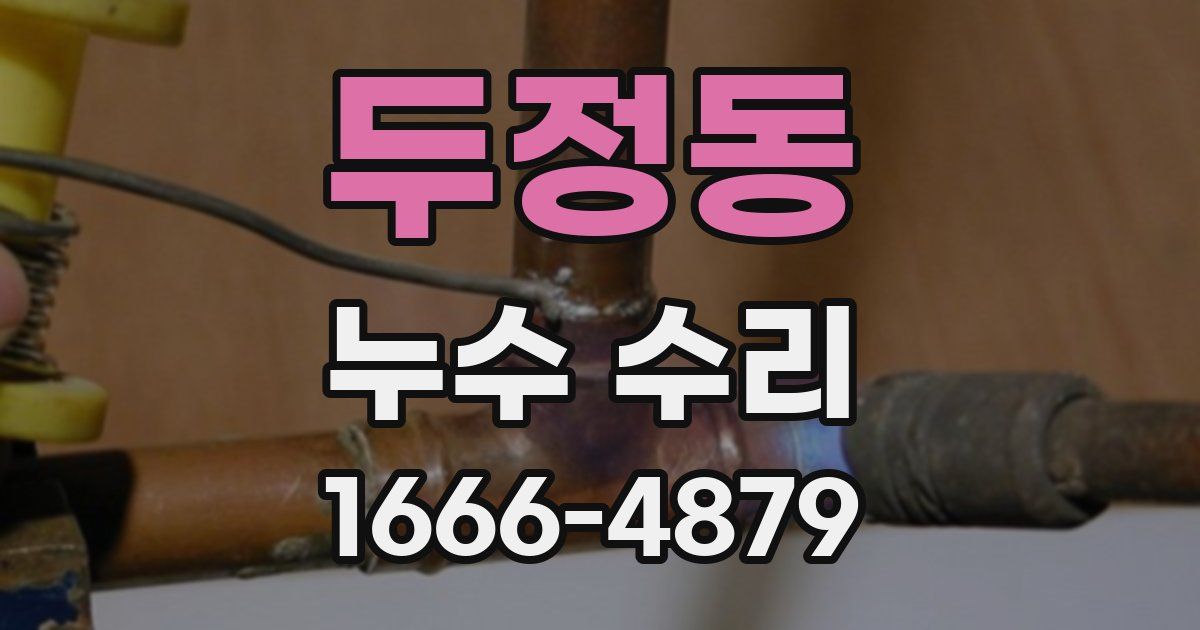 두정동 누수 수리