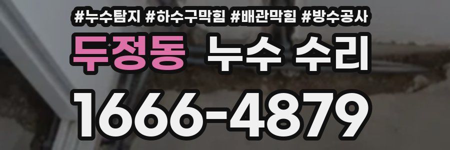 두정동 누수 수리