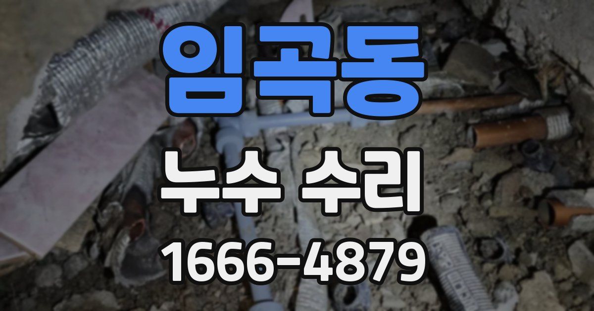 임곡동 누수 수리