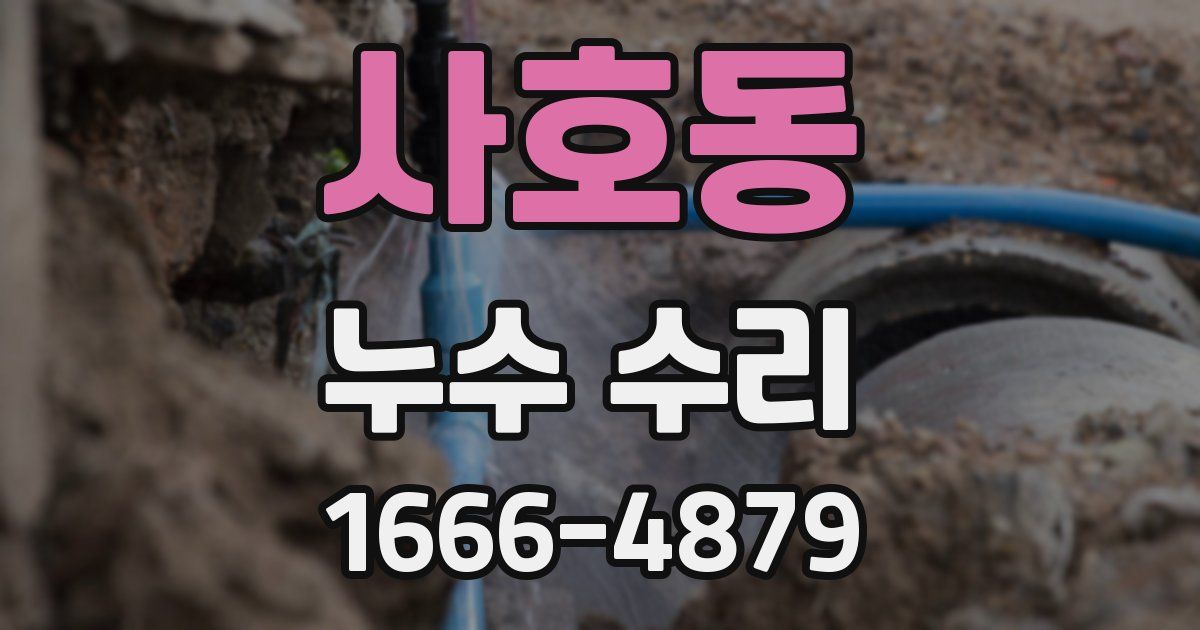 사호동 누수 수리