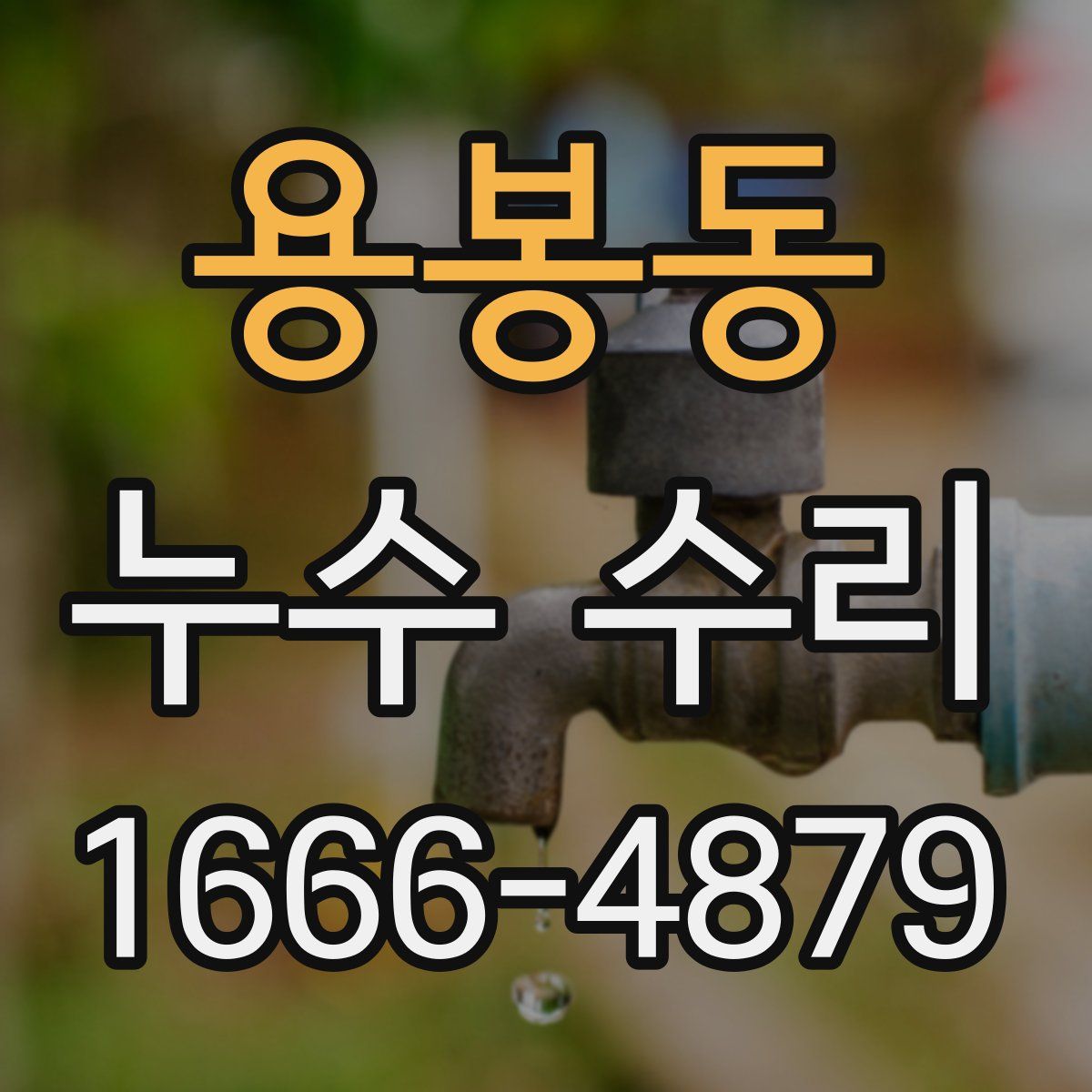 용봉동 누수 수리