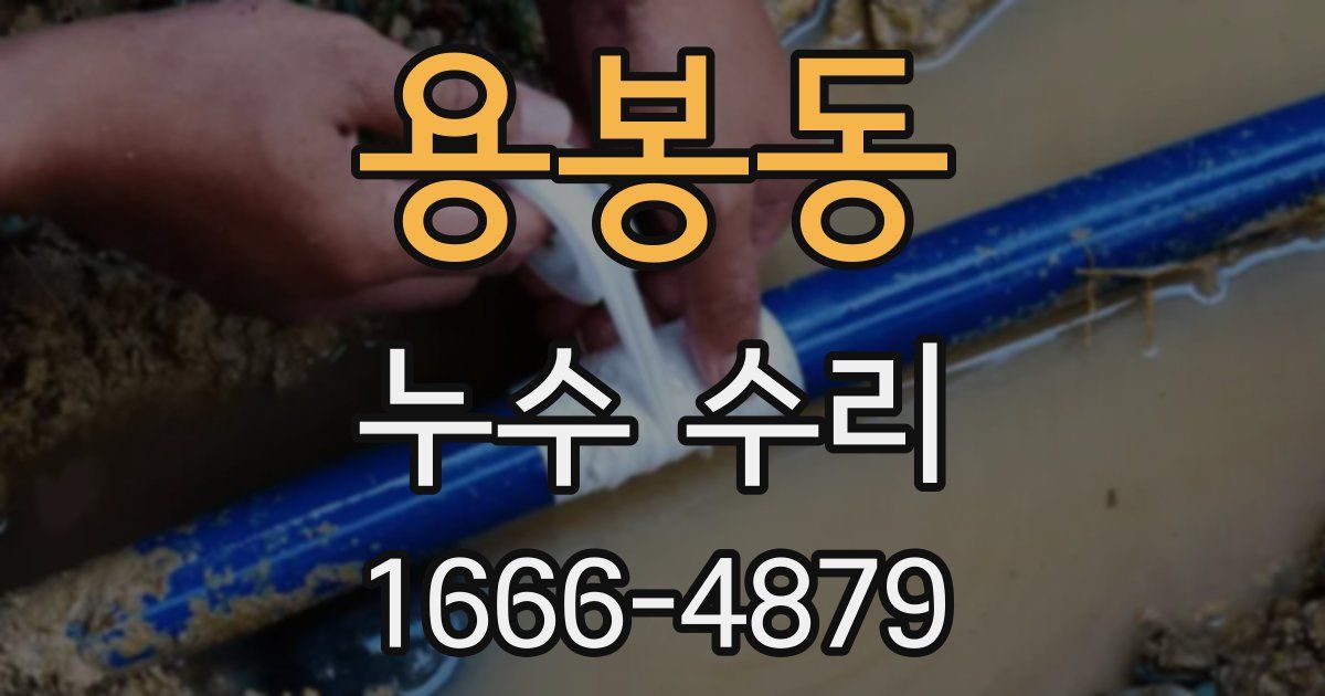 용봉동 누수 수리
