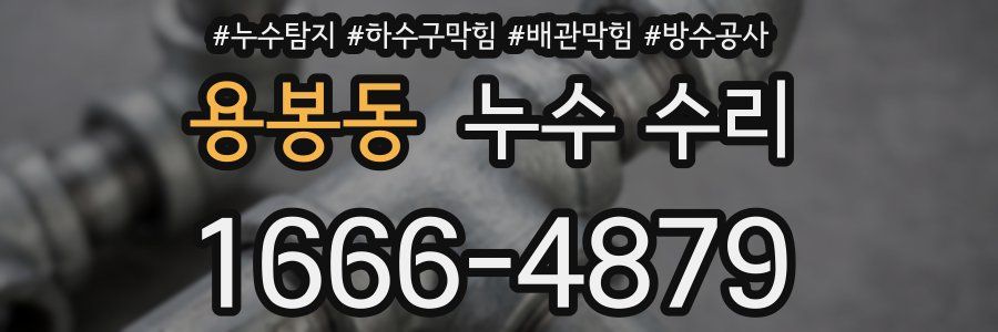 용봉동 누수 수리
