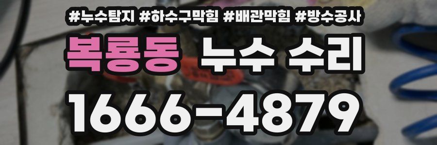 복룡동 누수 수리