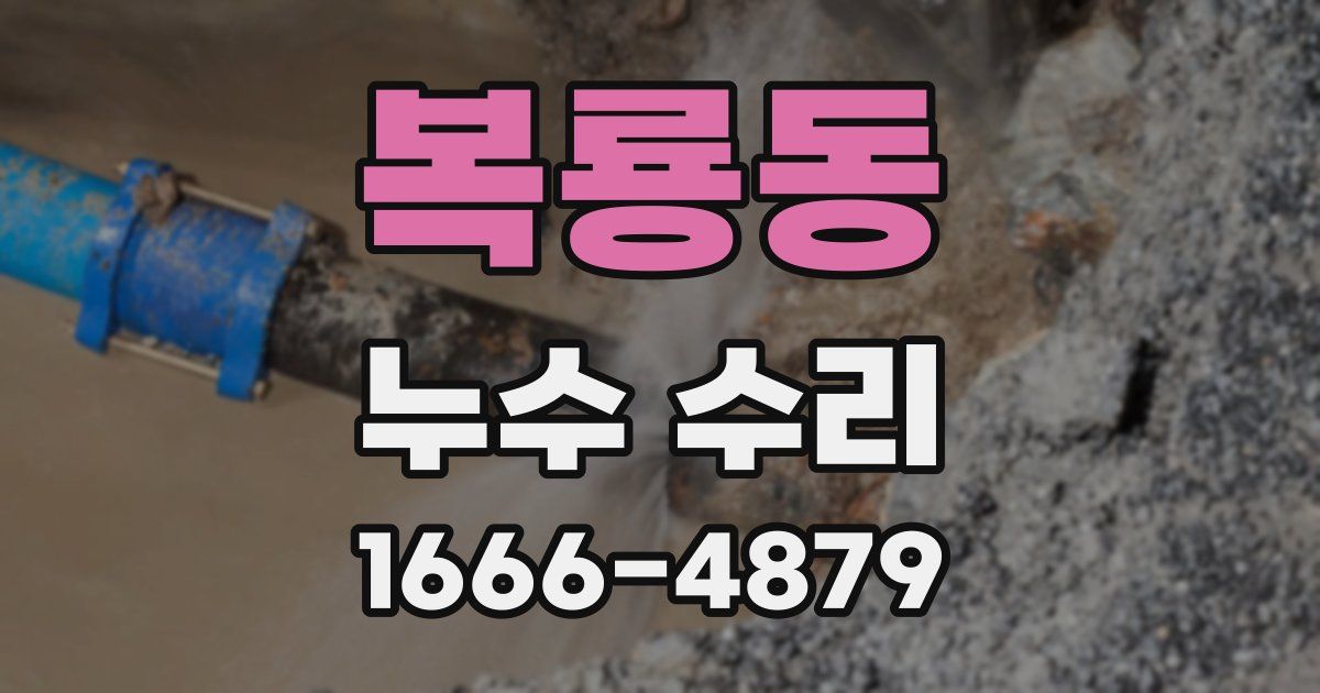 복룡동 누수 수리