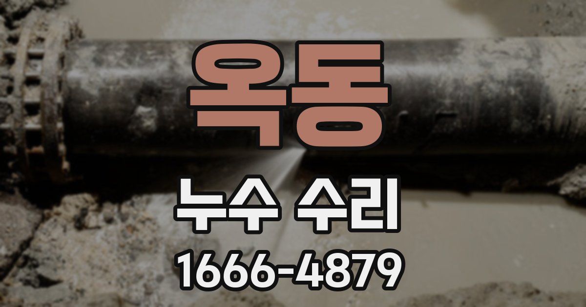 옥동 누수 수리
