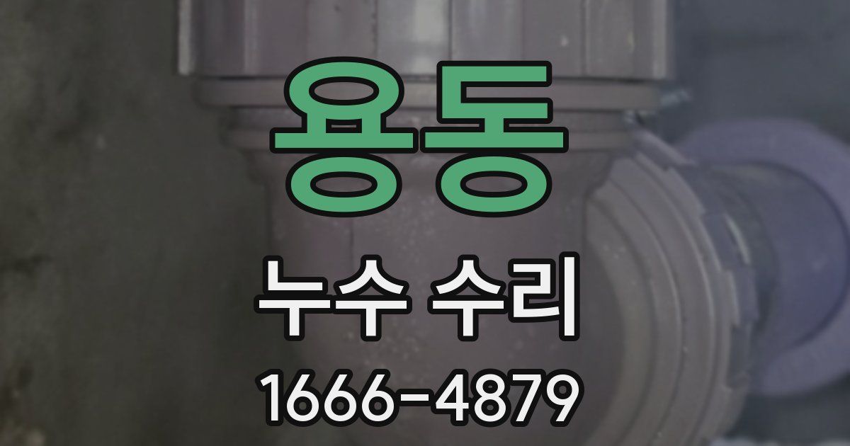 용동 누수 수리