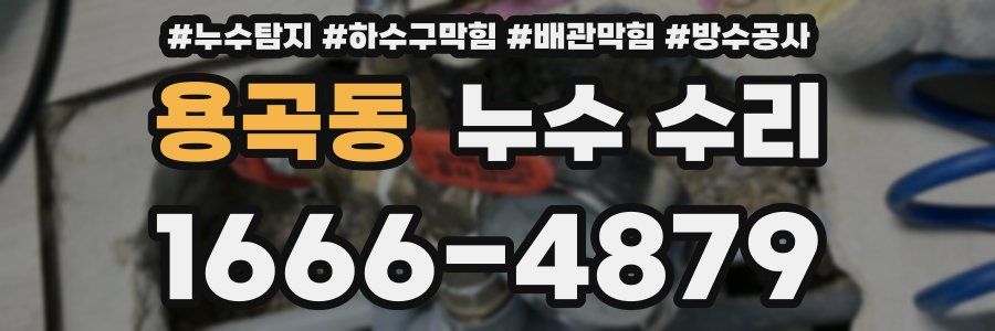 용곡동 누수 수리