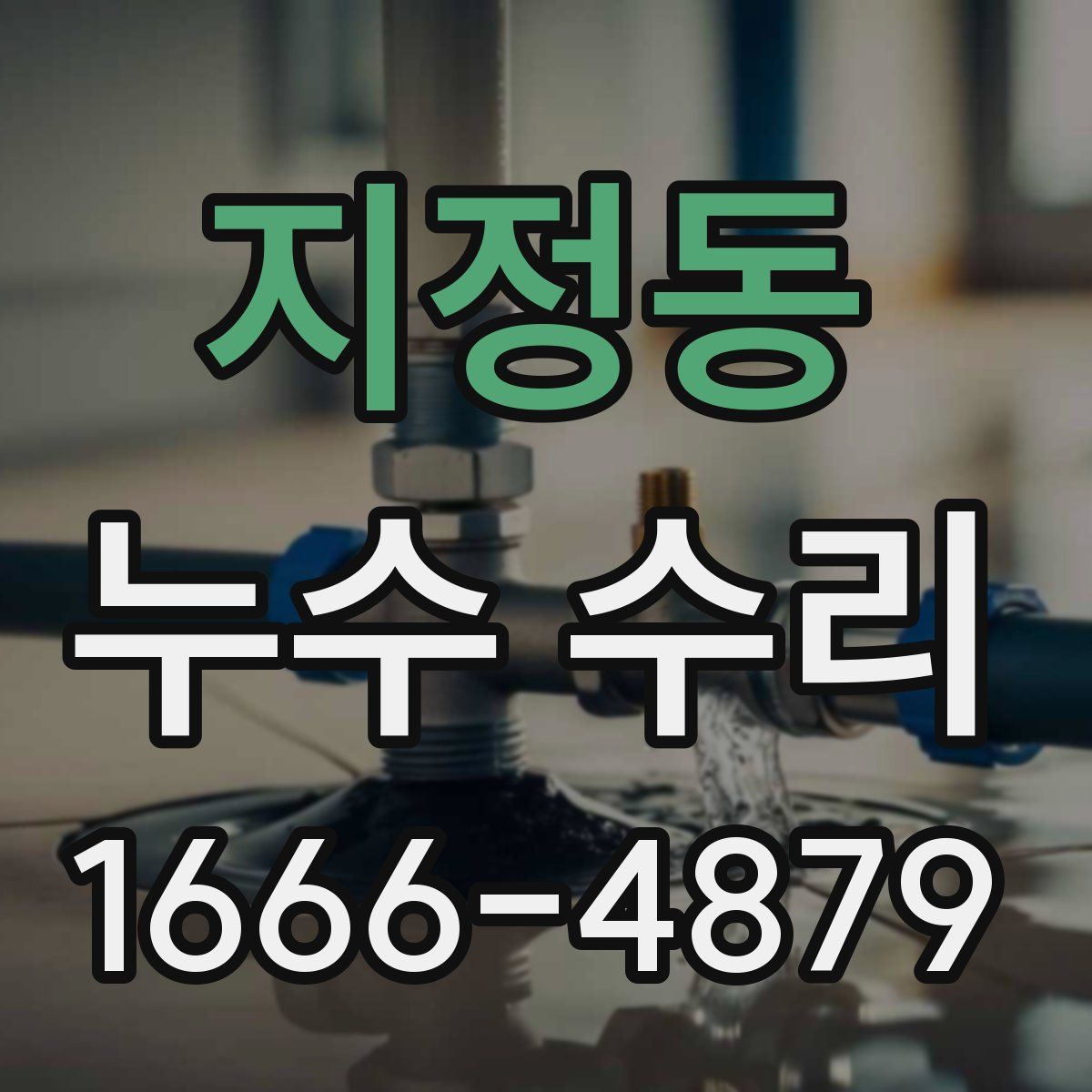 지정동 누수 수리