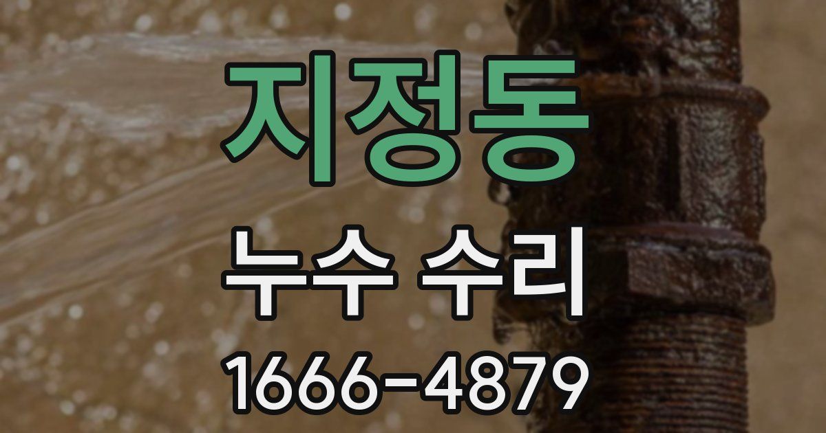 지정동 누수 수리