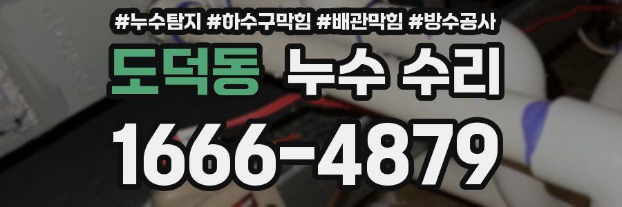 도덕동 누수 수리